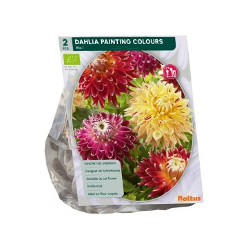 Bio - Dahlia Painting Colours per 2 