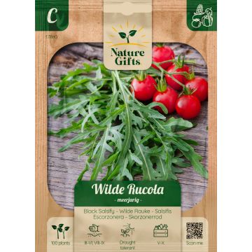 Wilde Rucola