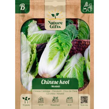 Chinese kool Michihili