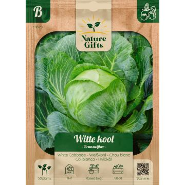 Witte kool Brunswijker