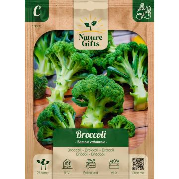 Broccoli Ramoso Calabrese