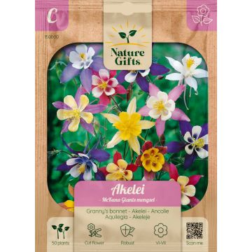 Akelei McKana Giants mix