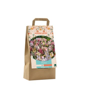 Bohemian Selections - Meet Flora per 15 + Gratis 1m2 Wild bloemen