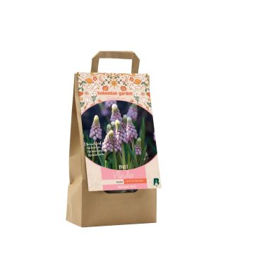 Bohemian Selections - Meet Vlinder per 15 + Gratis 1m2 Wild bloemen