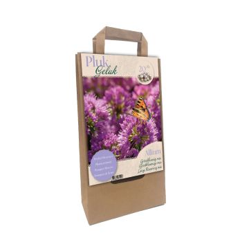PLUKGELUK | Allium Royale per 15
