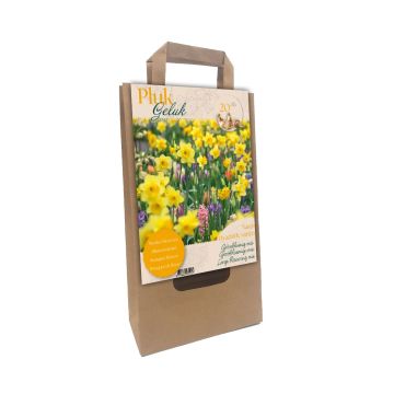 PLUKGELUK | Narcis Sunny Bells per 15