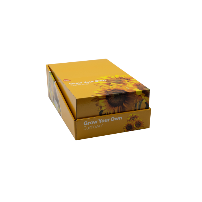 Grow Your Own - Sunflower - display