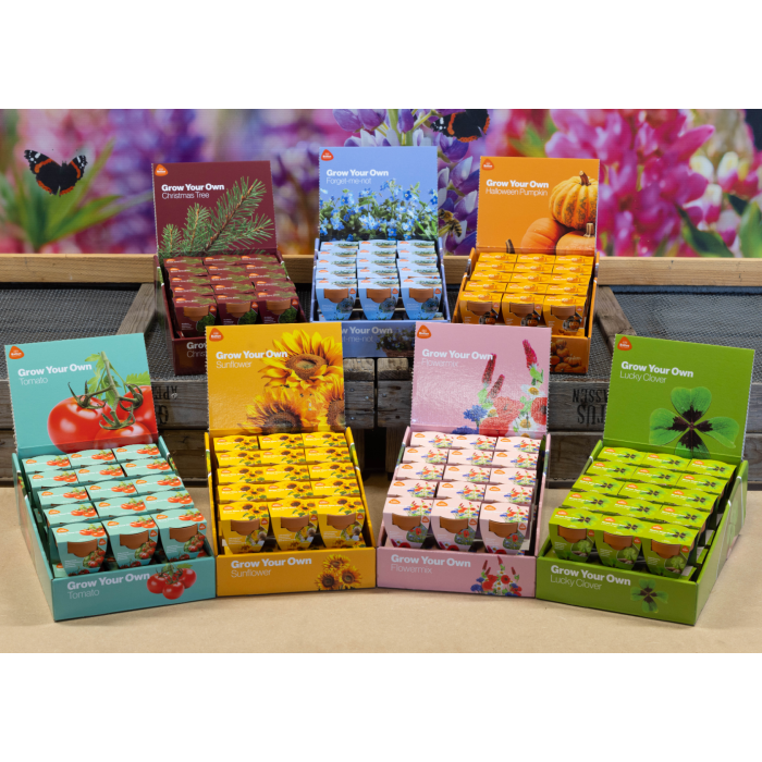 Grow Your Own - Sunflower - display
