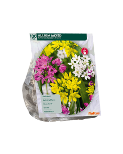 Allium Mix