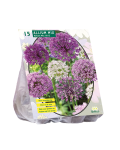 Allium Mix 