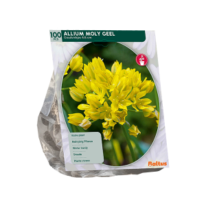 Geliefde Allium soorten