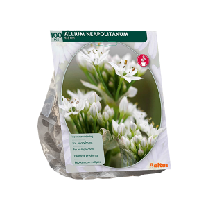 Geliefde Allium soorten