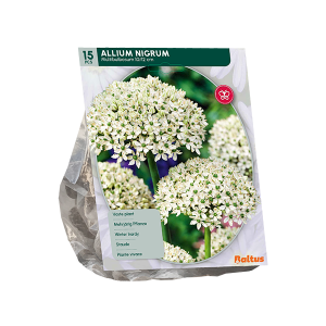 Geliefde Allium soorten