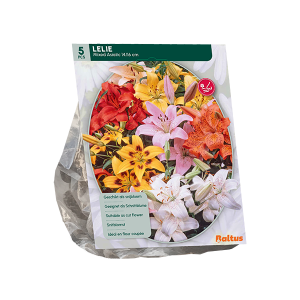 Geliefde Lilium soorten