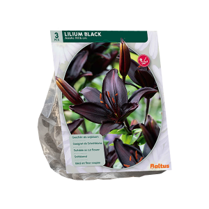 Geliefde Lilium soorten