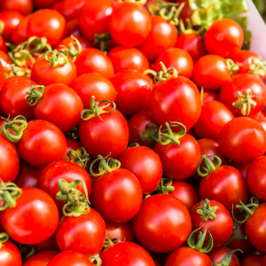 Grow Your Own Seasons