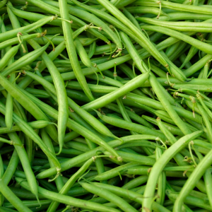 Grow Your Own Seasons