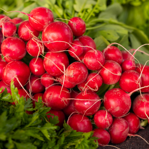 Grow Your Own Seasons