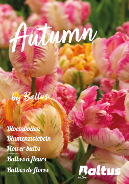 Catalogus Najaar - Voorjaarsbloeiers van Baltus Bloembollen