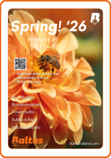 Flyer Voorjaar - Zomerbloeiers van Baltus Bloembollen
