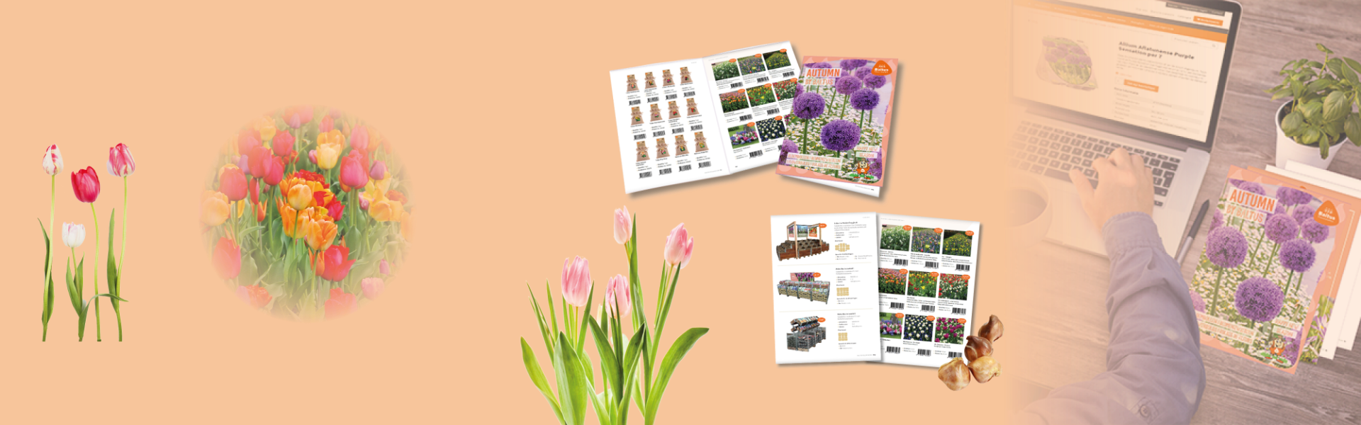 De nieuwe catalogus van Baltus