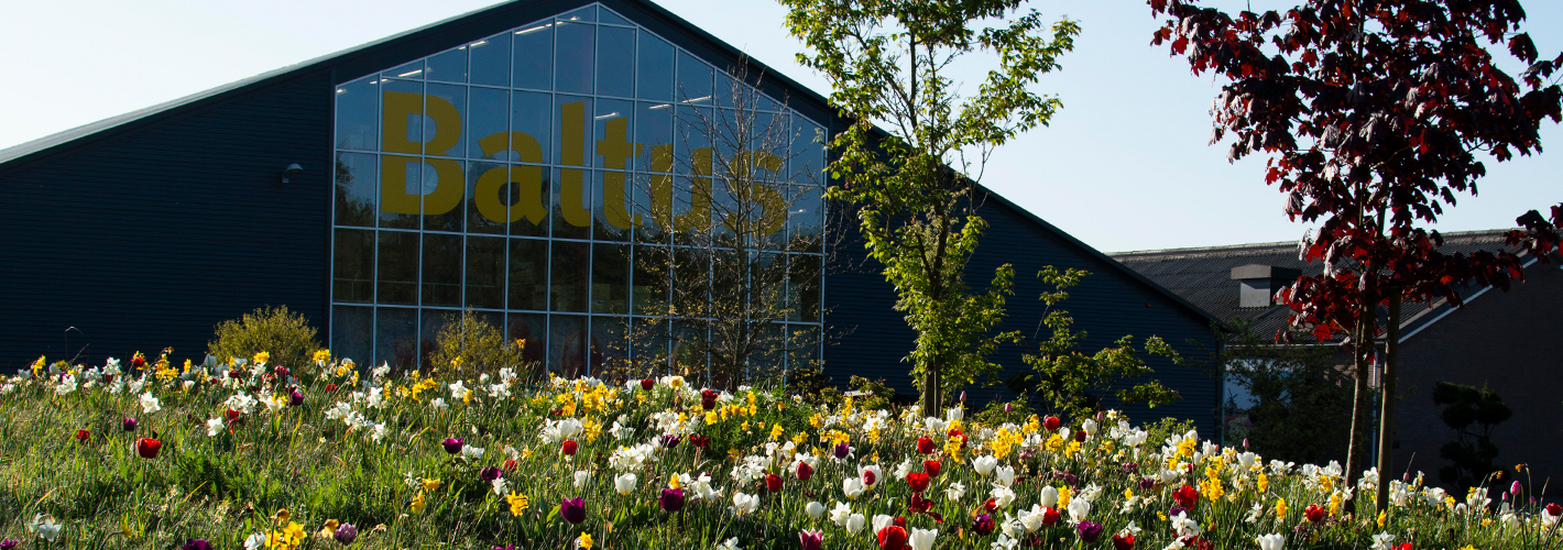 Unieke Bloembollen Cash & Carry