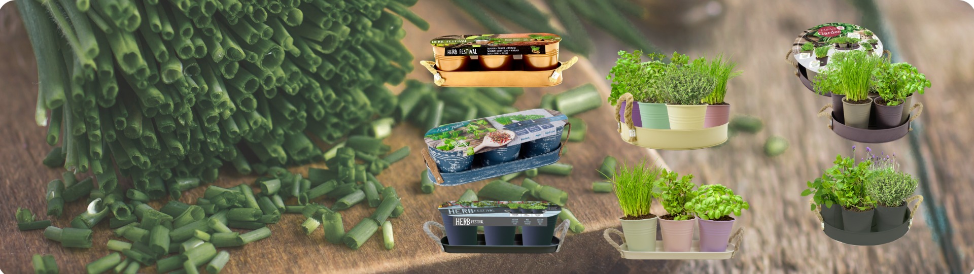 Herb Festival