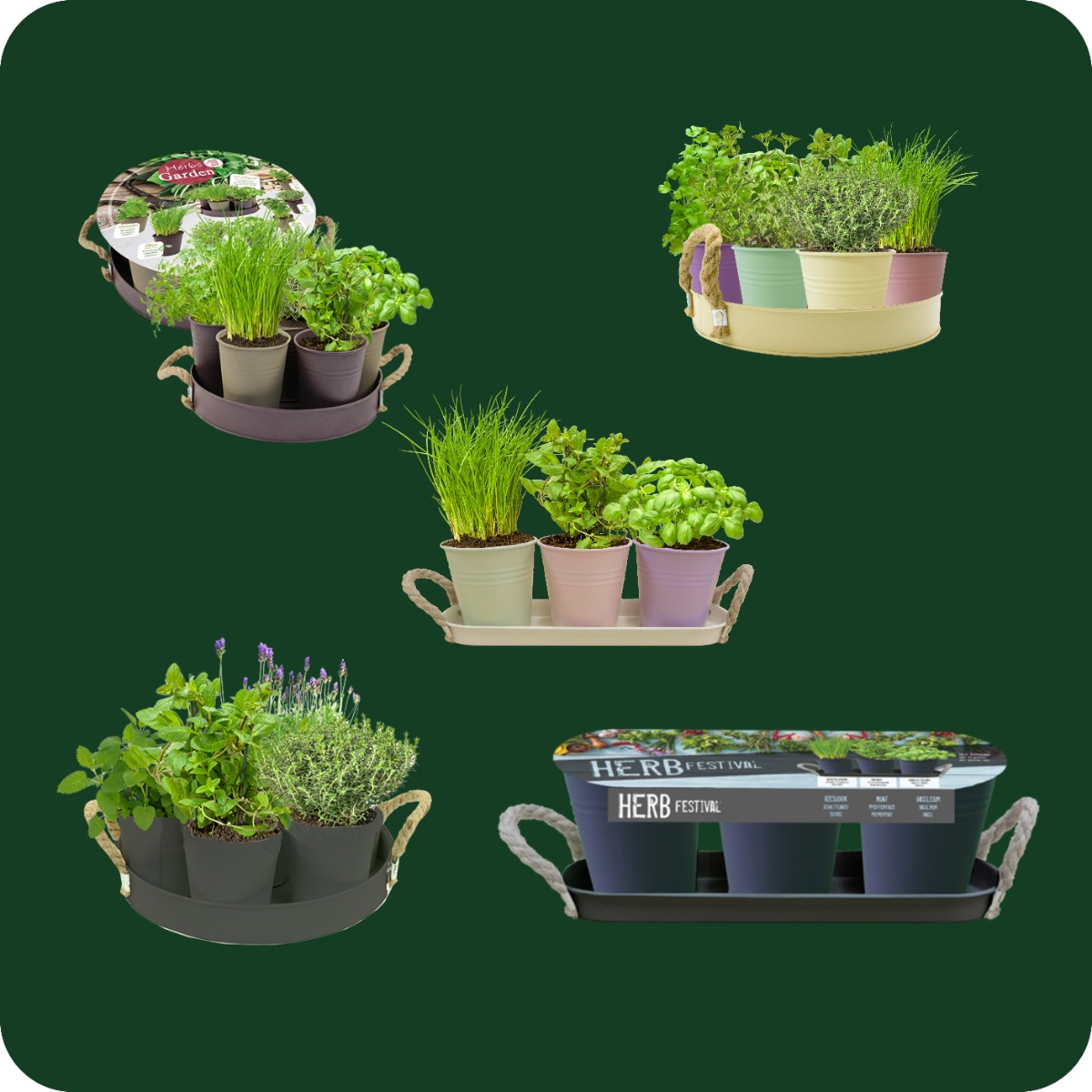 Herbschalen